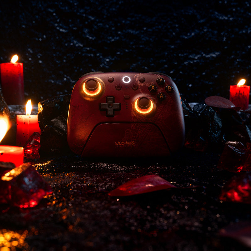 8BitDo Ultimate 2 Wireless Controller - WUCHANG: Fallen Feathers - Image 7